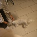 아영민박 | 250919-25 : 옥토버페스트와 독일 여행, 첫 실험🫠