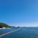 광암비취 이미지
