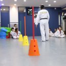 진영라온태권도장 이미지