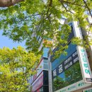 동은빌딩 티스토리