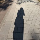 파티랜드회관 | 6월 일상 | 얼레벌레 살다보니 상반기 종료