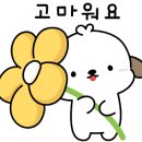 고삼초교병설유치원 이미지