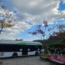 봄 숲으로 가자 | [경기/광주] 251102 경기도 단풍명소 화담숲 관람 후기