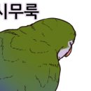 케나인동물병원 네이버블로그