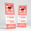 고양이미용연구소 이미지