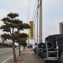태안자동차유리