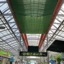 영해만세시장 이미지