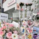 보네르 - 제주시 남광북5길 10 | 수성구 범어동 색감맛집 보네르플라워 꽃다발 후기
