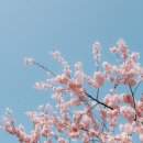 마음BOOK 이미지