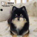 개성있냥 이미지