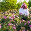 대왕농장2 이미지