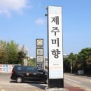 제주미향중문본점 이미지