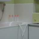 올리브 펫 이미지