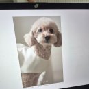 의상제작 B반 | W3. 볼라르 스튜디오 촬영후기 (손가영실장님)