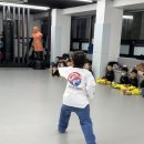 삼방동 733(영운초등학교 앞) | 정기 승급심사의 페러다임 _ 통과의례에서 성장의 무대로 #김해대한미르태권도