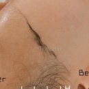 수원-1163 이미지