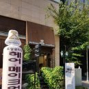 투투미용헤어숍 네이버블로그