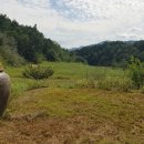 지원농장 이미지