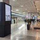 베스토아용전2호