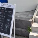 사파동181 이미지