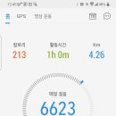둘이두리 이미지