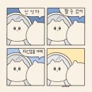 코리아 짐 이미지