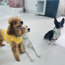 크리스마스 이브에 첫 봉사 이미지