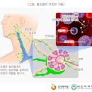 수내과의원 이미지