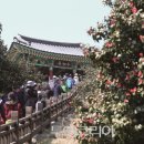 군산서해호남관광여행사 이미지