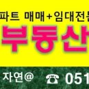다송초등학교 병설유치원 이미지