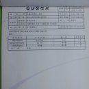 마로소시지 이미지