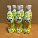 희석이네 | 아사히 칼피스 카르피스 희석용 행복의 멜론 맛 470ml 3개세트 후기