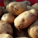 풀과꽃이야기 이미지