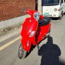 빈스 모터스 이미지