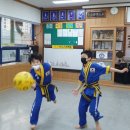 평산관 합기도 이미지