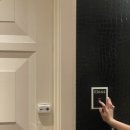 2644 | 라스베가스 호텔 앙코르 E2644호 리얼 후기 (윈호텔 &amp; 스피어 뷰)