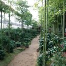 이화원(야외) 이미지