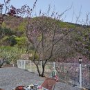 [가평 캠핑장🏕 추천]가평랜드 캠핑앤카라반 캠핑장|솔직후기