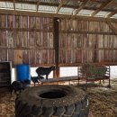 생목농장 이미지