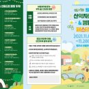 원주산악자전거파크 이미지