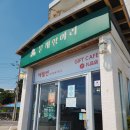 문개항아리펜션 | 제주 문개항아리 애월본점 #7월 /vs조천본점