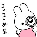 미미쇼핑
