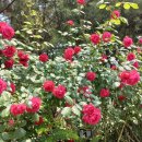 구로삼성래미안(아) 이미지