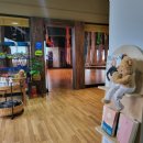 요가(야간반) 이미지