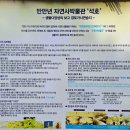 해파랑길 39코스 바우길 05구간 이미지
