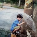 호기심으로 보는 세상 이미지