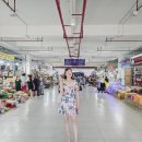 아양약국 | 신혼여행 34 티엔푸약국, 파머시티, 롯데마트, 담시장 196번 탑젤리, 캐리어 쇼핑