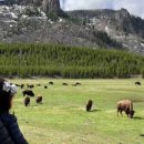 경희강추한의원 이미지