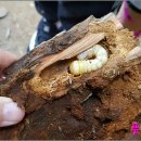 우연한만남 이미지