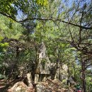 대전둘레산길(8구간) 이미지